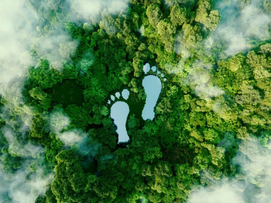 „Carbon call” – összefogás a megbízhatóbb széndioxid-elszámolásért