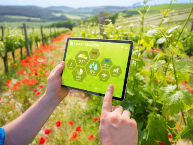 Smart-farming technológiákkal segítik a gazdákat