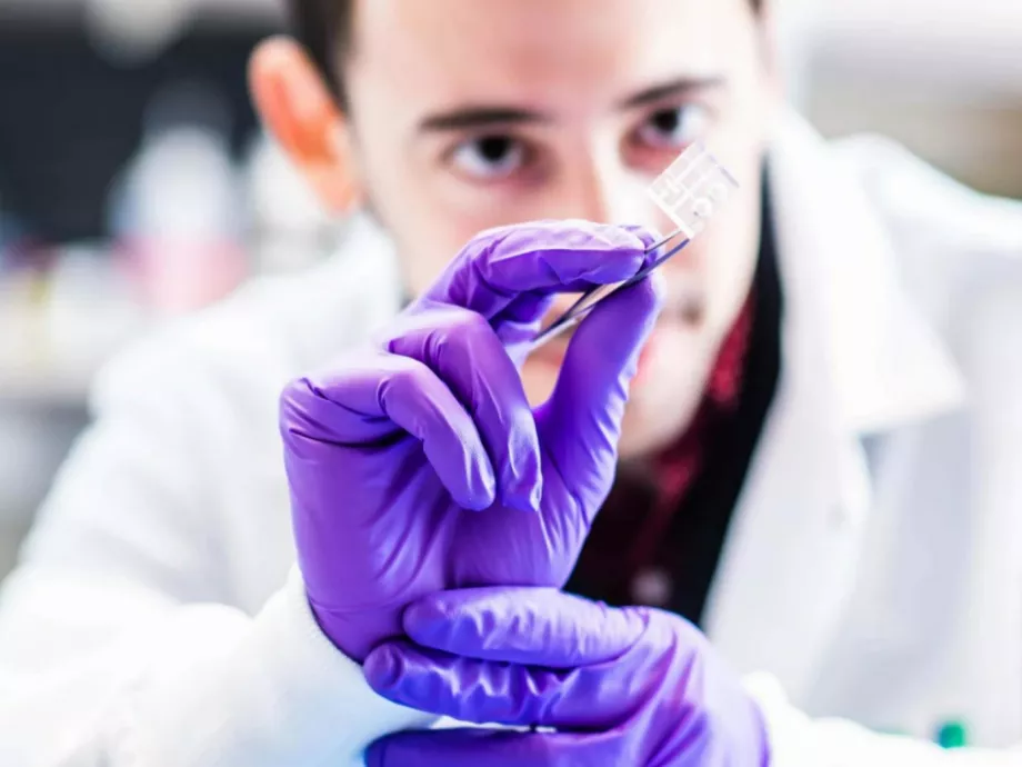 Gyógyszertesztelés biohibrid miniműszívekkel