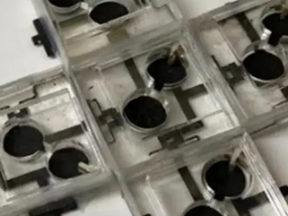 Három baktérium összjátéka működtet egy új bioakkumulátort