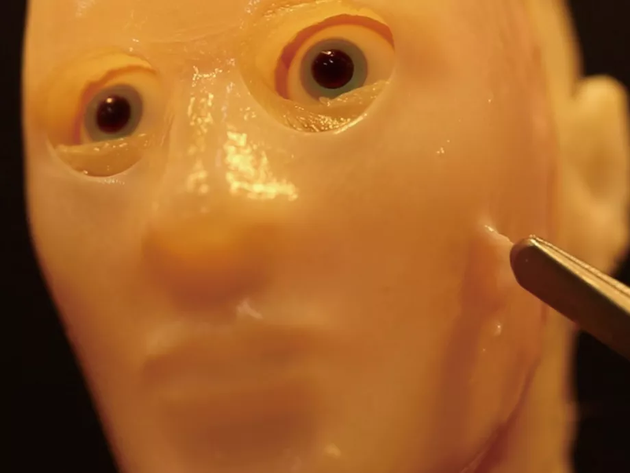 Élő bőr technológiát fejlesztettek a robotoknak