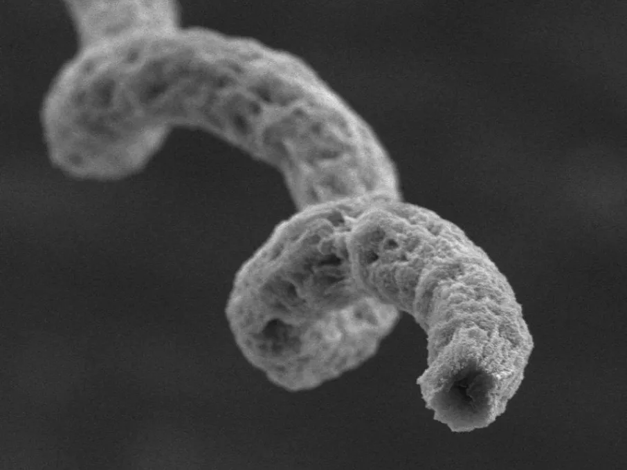 Mikroszkopikus biohibridekkel győznék le a rákot