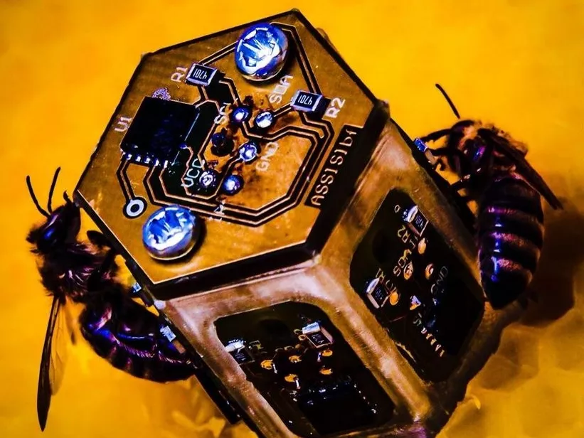 Robotméhekkel manipulálják a valódiak viselkedését
