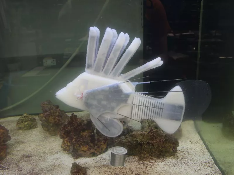 Elektronikus vérrel hajtott robotoroszlánhal