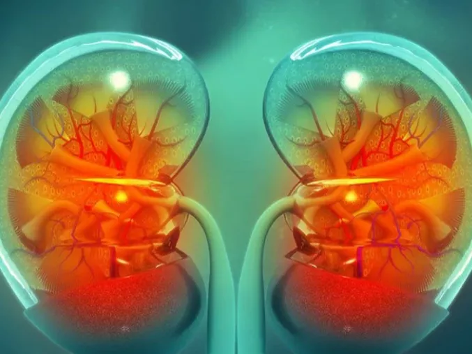 Biotinta testen belüli 3D-nyomtatáshoz