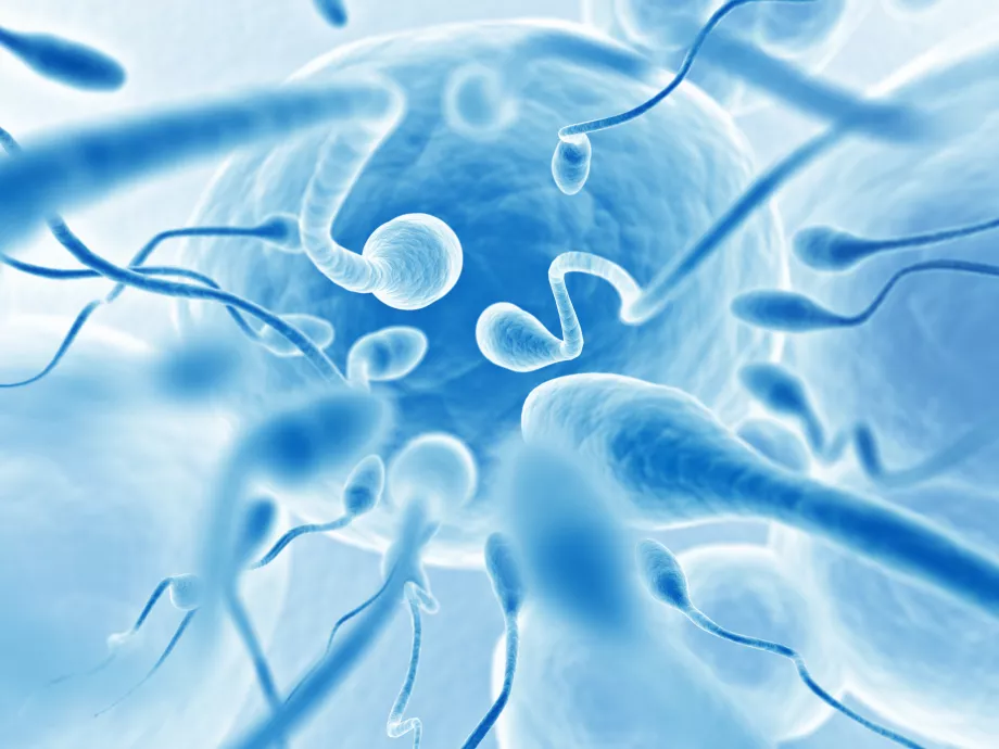 Megtalálhatták a nem-hormonális, férfi fogamzásgátlót