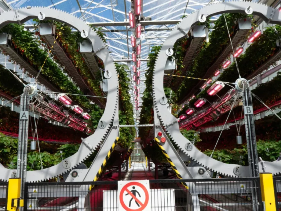 Hipermodern eperfarm a porszívógyártótól