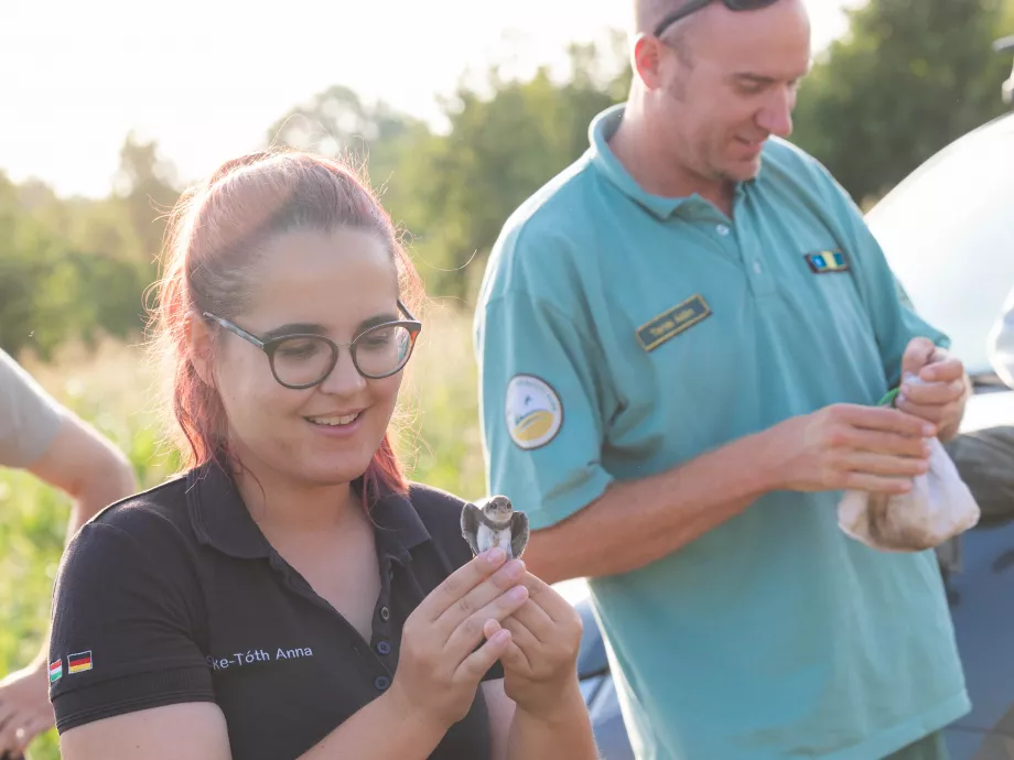 Díjazták a kecskeméti Mercedes-Benz Gyár környezetvédelmi projektjét