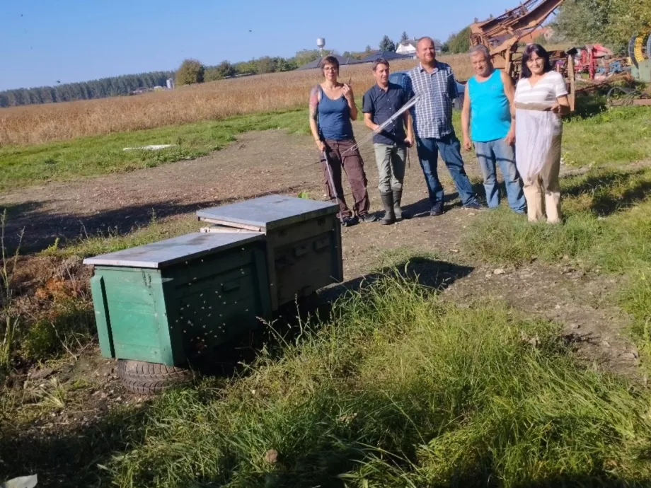 Magyar fejlesztésű eszköz segít az ázsiai lódarázs hazai terjedésének lassításában
