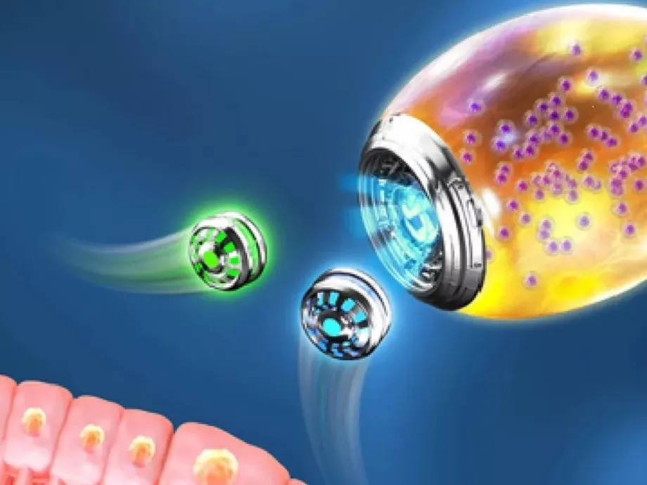 Nanorobotokat utaztatnak a gyomorban