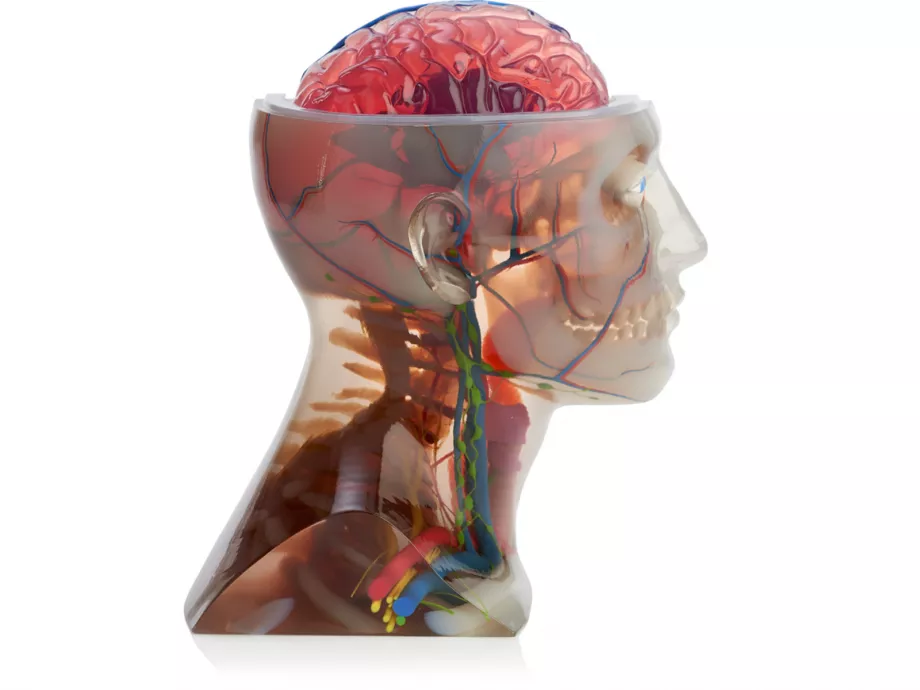 Személyre szabott implantátumok