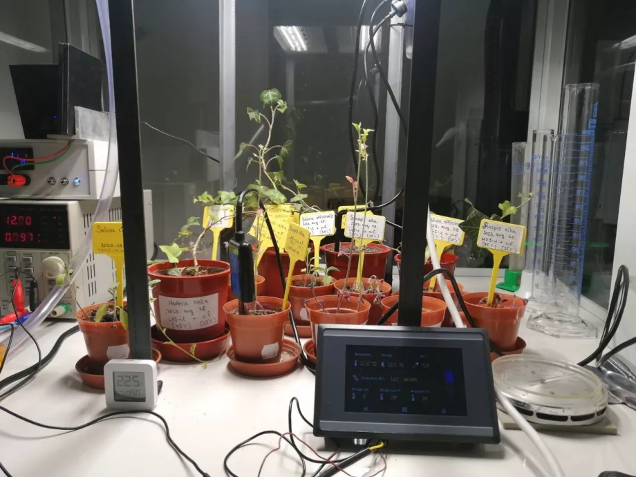 Űrnövények a MATE laboratóriumában